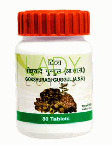 Гокшуради Гуггул  Gokshuradi Guggul Patanjali  80 табл. 4178